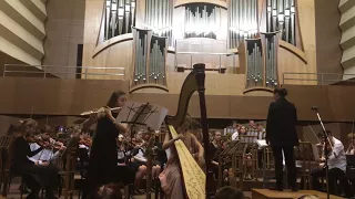 W  A  Mozart Concerto for flute and harp with orchestra 1st movement