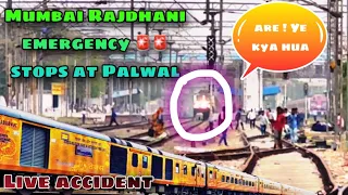 Live Accident ! Train hits cow🐄 - गाय की बेरहमी से मौत 😲Mumbai Tejas   rajdhani  At palwal