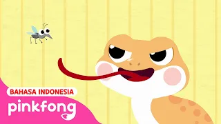 Cicak Cicak di Dinding | Bahasa dan Versi Inggris | Lagu Anak Indonesia | Pinkfong