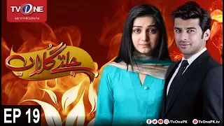 Jaltay Gulab | Episode 19 | TV One Classics | 28th November 2017