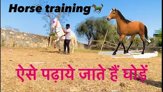 यहाँ सिखाया जाता हैं घोड़ों🐎को डाँस #horselover #horse  #horsedance #horse_lover_kheroda_official