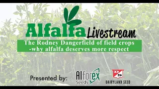 Alfalfa Livestream –The Rodney Dangerfield of field crops-why alfalfa deserves more respect