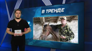 Боевые лошади РФ vs Роботы ВСУ. Замуж за олигарха: ТОП разбогатевших россиянок | В ТРЕНДЕ