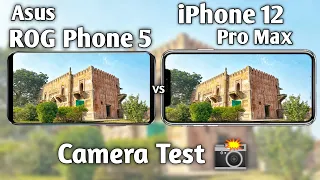 Asus ROG Phone 5 vs iPhone 12 Pro Max Camera Test Comparison