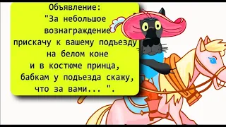 ✔️Каждая девушка ждет именно принца на белом коне.... Анекдоты с Волком.#ВГостяхУВолка