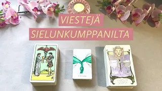 VIESTI SIELUNKUMPPANILTA 💌 💖 Valitse pakka 🌟 Mitä sielunkumppanin korkein minä haluaa kertoa? 🌈 ✨