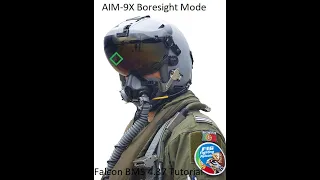 Falcon BMS AIM-9X Boresight tutorial in VR