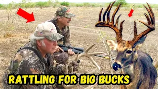 TEXAS Is the BEST Place To RATTLE In BIG BUCKS! Warrior Hunt!