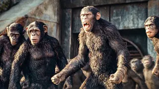 The Apes Are Ready For Battle! - Kingdom of the Planet of the Apes New Teaser Trailer (2024)