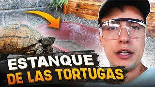 Así Va Quedando El Estanque De Las Tortugas!!!