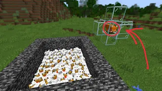 1000 chickens vs fox