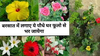 बरसात (जून और जुलाई) में लगा ले ये कमाल के फूलो वाले पौधे ।। Permanent Flowering Plants