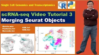 Seurat Video Tutorials--video 3: Merging Seurat Objects