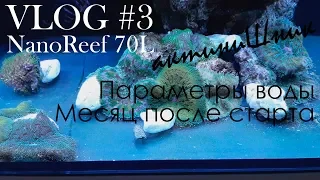 NanoReef 70L. VLOG#3. Параметры воды.  Месяц после старта.