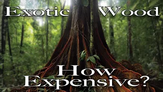 10 Most Expensive & Rare Exotic Wood Species?