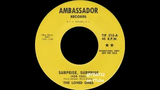 The Loved Ones - Surprise, Surprise (For You) [1966 Garage Rock Knoxville Tennessee USA]