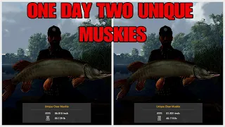 Unique Clear Musky Guide (Must Try Hotspot) - At Saint Croix Lake - Fishing Planet