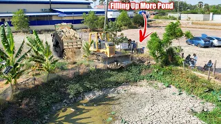 Amazing New Filling Up More Pond By Bulldozer KOMATSU D31PX, Dump truck unloading rock stone