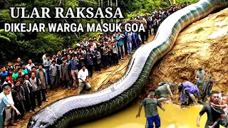 GEGER !! ULAR RAKSASA DI KEJAR WARGA MASUK GOA PERTAPAAN