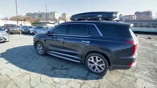 Корея не хочет Санкций! Hyundai Palisade в марте 2024