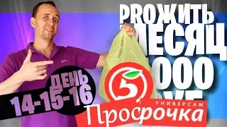 ЖИВУ МЕСЯЦ на 1000 🚨 ДЕНЬ 14 15 16 😡 ПЯТЕРОЧКА ПРОСРОЧКА ЛАЙФХАК