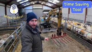 Feeding and Bedding Sheep A Different Way