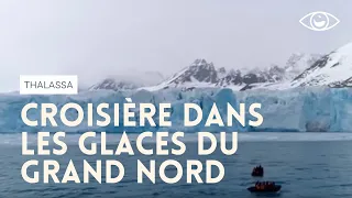 En croisière dans les glaces - Thalassa