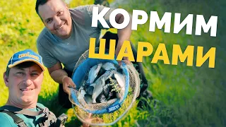 ФИДЕР на РЕКЕ ☝️Кормим ШАРАМИ 🤯 РЕЧНАЯ РЫБАЛКА! Новое место! Ловим на Десне!  Рыбалка 2022