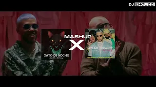 Gato de noche X No me conoce (DJ Enouzzi MASHUP) - Bad Bunny & Ñengo Flow X Jhay Cortez & J Balvin