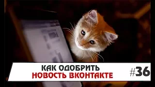 Как одобрить предложенную новость или запись в ВКонтакте