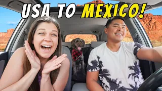 We Didn't Expect This! (Driving Through the USA to the Mexico Border with a Dog)