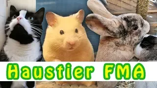 Haustier FMA 🐾 Shopping 🎬 Hamster, Kaninchen, Katze und Co. 🐹🐰🐱