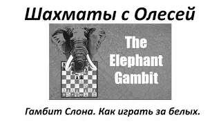 Гамбит слона. Как играть за белых. Урок 56 (часть 1)