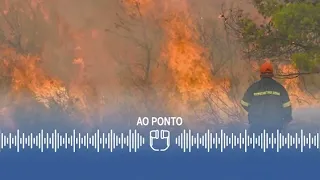 O verão mortal no Hemisfério Norte e os novos alertas do clima no mundo I AO PONTO