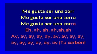 Vulpes -  Me Gusta Ser Una Zorra (karaoke)