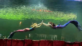 Putri Duyung ( mermaid) show ocean dream samudera Ancol Jakarta