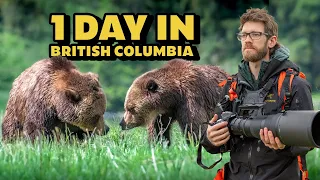 Photographing a GRIZZLY BEAR Encounter in the Great Bear Rainforest - Nikon Z9