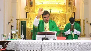 Eleventh Week Of Ordinary Time - Saturday - 19 June 7:00 AM- Fr Peter Fernandes