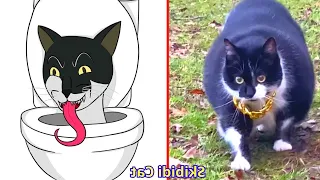 😂Cat Memes: New Skibidi Toilet Cat and Funny Dogs (new and remastered) 😅 Trending Funny Animals 😹 50