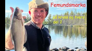 Femundsmarka på kryss og tvers (del 2)