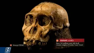 Уникальные раскопки в Африке: какие тайны раскрыл древний череп | Между строк