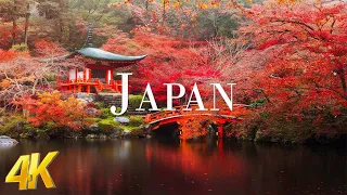 Japan 4K - Scenic Relaxation Film With Inspiring Cinematic Music - 4K Video UHD | 4K Planet Earth