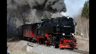 Harz Narrow Gauge - April 2022