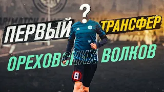 ОРЕХОВСКИЕ ВОЛКИ / НОВЫЙ ИГРОК / КОГО ЕЩЁ ЖДЁТ КОМАНДА?