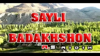 SAYLI BADAKHSHON   A Saidik