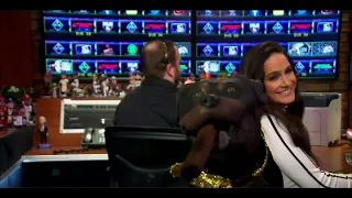 Triumph the Insult Comic Dog Joins Hot Stove