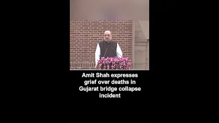 Amit Shah expresses grief over deaths in Gujarat bridge collapse incident