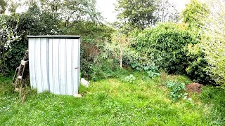 This Yard Needed some SERIOUS Work | Garden Restoration Episode