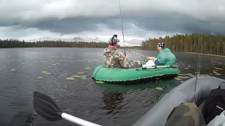 Окунь на удочку. Вечерняя рыбалка на карельской ламбине.