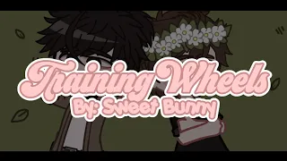 TRAINING WHEELS 🚲💕 || GCMV SNIPPET || MELANIE MARTINEZ || CRY BABY || ORIGINAL IDEA BY: SWEET BUNNY